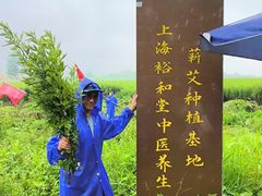 -裕和堂中医推拿艾灸(太古汇臻品店)
