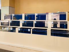 水产区-楼里火锅餐厅(文化城店)