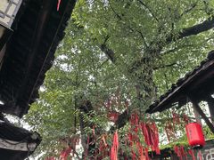 -尧坝古镇