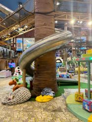 -卡通尼·Safari非洲探索乐园·生日会(金桥国际商业广场店)