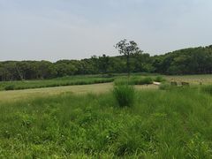 -嘉北郊野公园