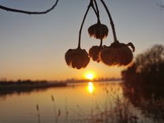 -艾溪湖湿地公园