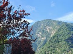 -少华山国家森林公园