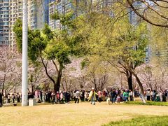 -西北湖绿化广场