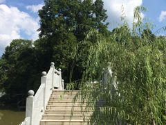 -南宁良凤江国家森林公园