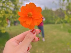 -花开海上生态园