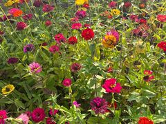 -山西乌金山旅游区