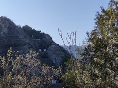 -北京鹫峰国家森林公园