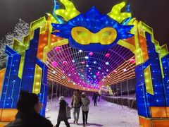 -沈阳奥体冰雪嘉年华