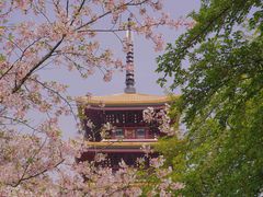 -东湖磨山景区