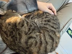 -平行世界·猫咖(首经贸店)