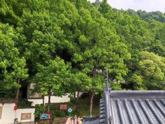 -严子陵钓台(富春江小三峡)