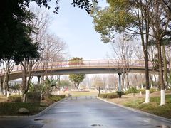 -府河摄影公园