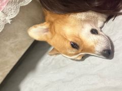 -星巴克(天津大悦城第二店)