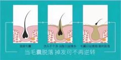 点击看大图 -张昊造型
