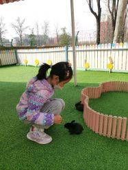 -萌宠亲子动物乐园(槐房万达店)