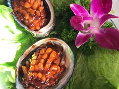 红烧鲍鱼-海霸王特色海鲜家常菜(四合路店)