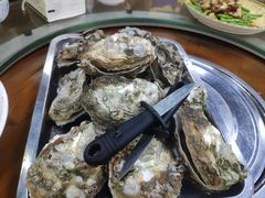原只蒸生蚝-蚝得喜海鲜(东城店)