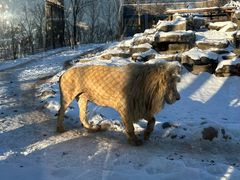 -北京野生动物园