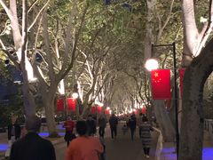 -李公堤
