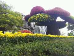 iphone_upload_pic-迎泽公园