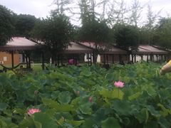 -洪湖家庭农场·团建·露营·会议