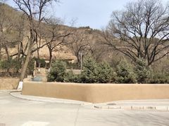 -延安杨家岭革命旧址