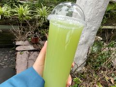 青提汁-翼果厨(总店)