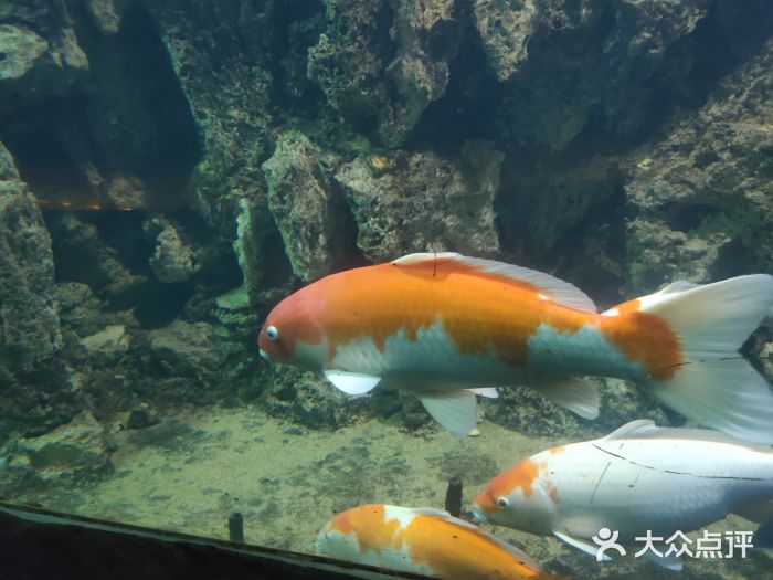 南昌动物园图片