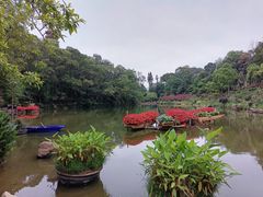 -深圳仙湖植物园