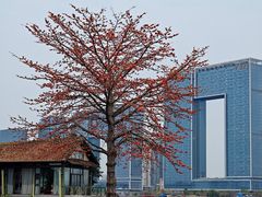 -喜洲吧·江畔老船厂·庭院餐厅(喜临院店)