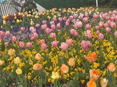 -苏州上方山国家森林公园