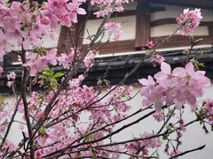 -乌山风景区