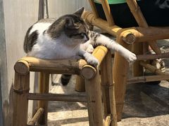 -铜瓢江湖兔火锅(水碾河社区店)