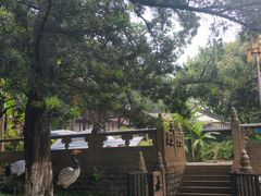 -虞山城墙