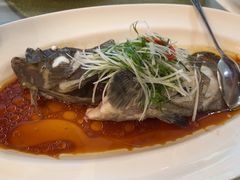 -老洋房花园饭店(绍兴路店)