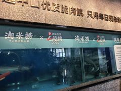 -淘米捞·米汤脆鲩鱼火锅(福田皇岗店)