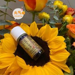 点击看大图 -芳香乐府疗愈空间·SPA·冥想