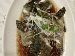 老虎斑-双井轩(双井店)