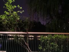 -重庆彩云湖湿地公园