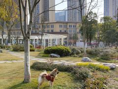 -府河摄影公园