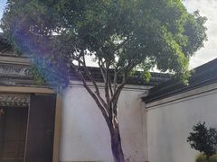 -余姚博物馆