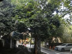 -杭州西湖风景名胜区-满觉陇四眼井