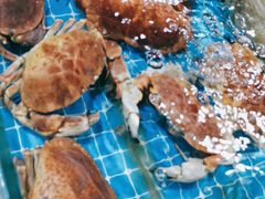 -呼和浩特市融桥商贸有限公司-停车场