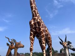 -北京野生动物园