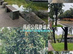 -唐城墙遗址公园