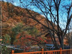 -参仙谷生态旅游度假区