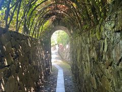 -磐安舞龙峡景区