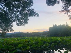 -苏堤停车场
