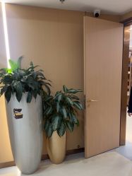 点击看大图 -南京康美美容医院·旗舰店